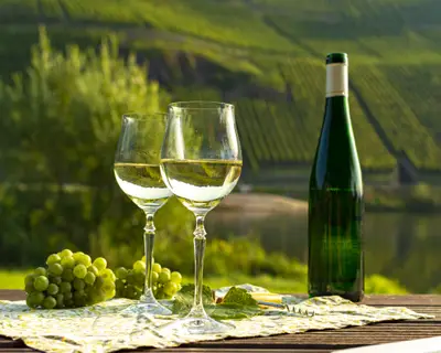 Famous German quality white wine riesling, produced in Mosel wine regio from white grapes growing on slopes of hills in Mosel river valley in Germany, bottle and glasses served outside in Mosel valley