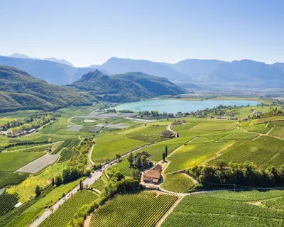Kalterer See, Kalterersee, Landschaft, Weinberge