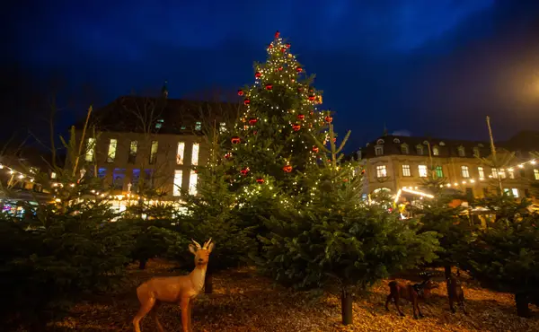 Erlanger Winterzauber & Christkindlmarkt Nürnberg 