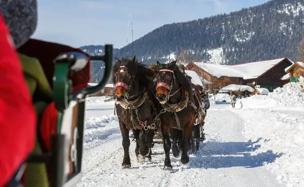 Pferdeschlittenfahrt & Brennerei im Tiroler Kaiserwinkel