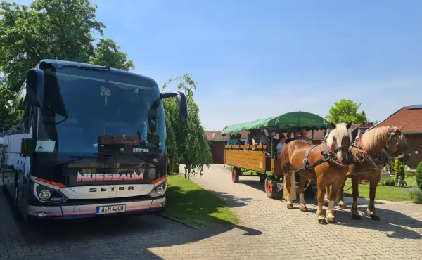 Pferdekutschfahrt beim Michlbauer im Bayerischen Wald