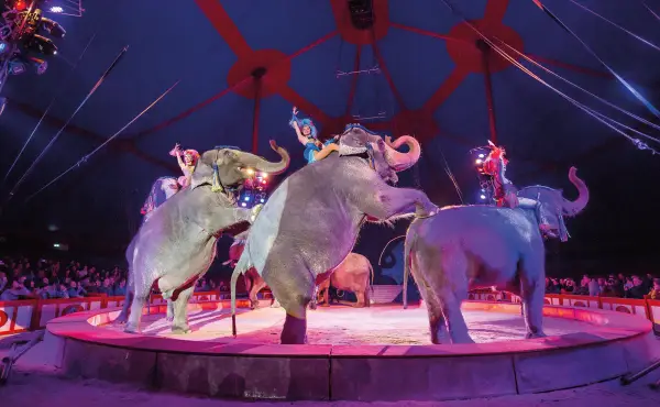 Circus Krone in München