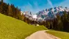 Von Alm zu Alm im Kaisergebirge